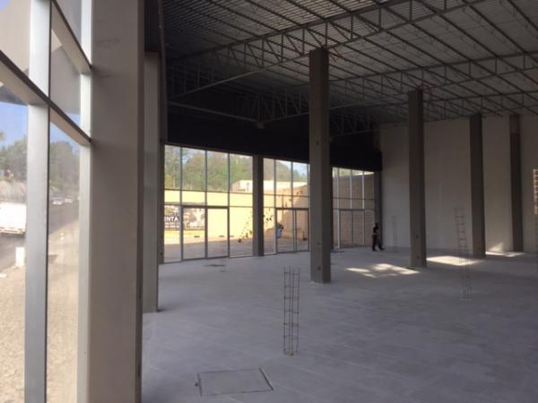 LOCALES COMERCIALES EN RENTA SOBRE AVENIDA PRINCIPAL en Tlaxcala - Imagen 6