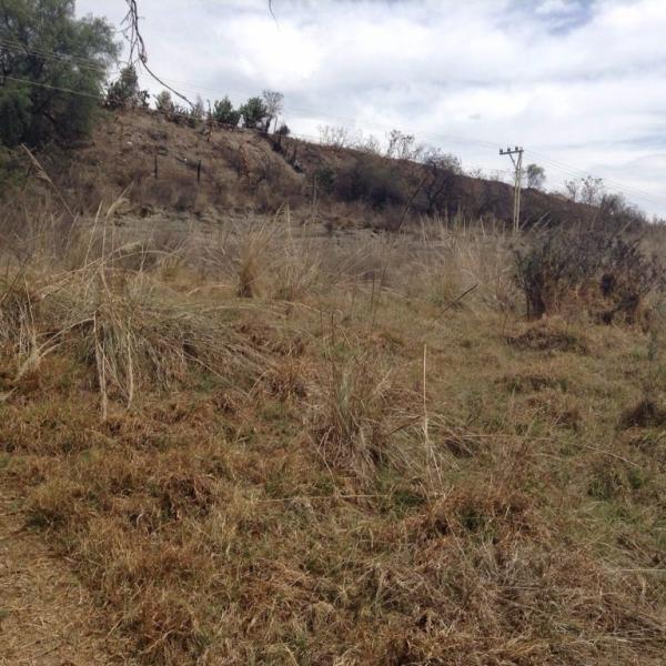 Terreno Rustico en Renta 9.000 m2 RINCON VERDE en Tacuba - Imagen 2