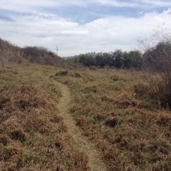 Terreno Rustico en Renta 9.000 m2 RINCON VERDE en Tacuba - Imagen 3
