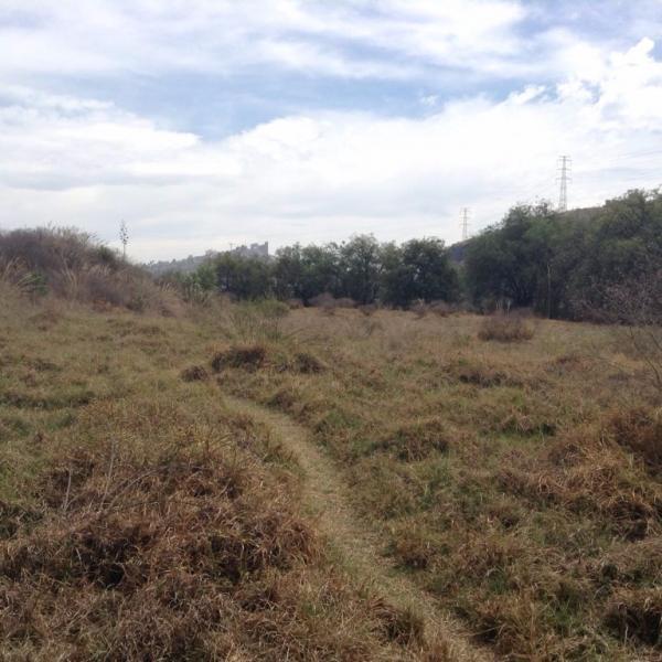 Terreno Rustico en Renta 9.000 m2 RINCON VERDE en Tacuba - Imagen 4