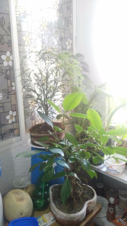 DEPARTAMENTO EN RENTA AZCAPOTZALCO en Azcapotzalco - Imagen 18