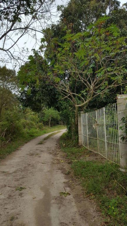 VENTA DE TERRENO RÚSTICO EN RANCHO VIEJO, EMILIANO ZAPATA en Temixco - Imagen 2