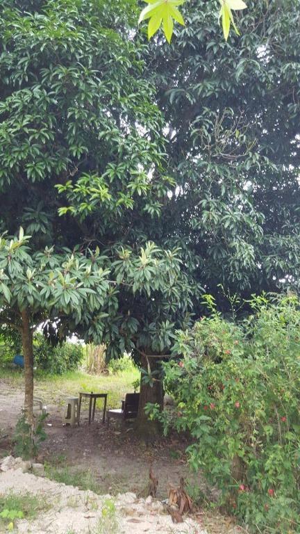 VENTA DE TERRENO RÚSTICO EN RANCHO VIEJO, EMILIANO ZAPATA en Temixco - Imagen 4