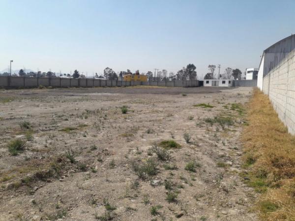 Terreno Bardeado en Renta en Metepec - Imagen 6