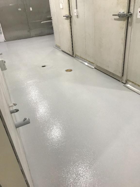 THATS ALL CONCRETE GRINDING & POLISHING in Heathmont - Image 3