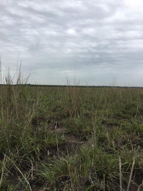 PLOTS FULLY REGISTERED AT (AIROPORT CITY) PRAMPRAM in Tema - Image 3