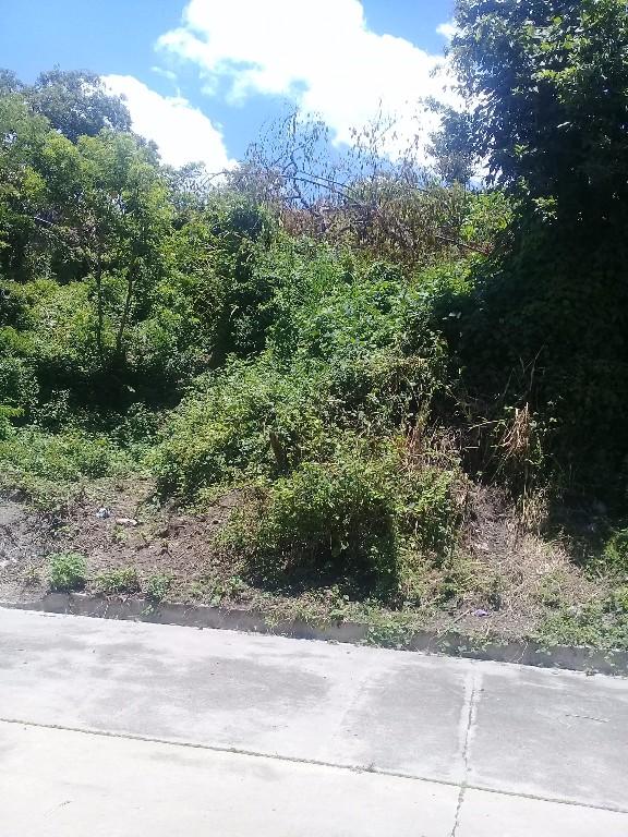 Venta lotes en San Luis Talpa - Imagen 2