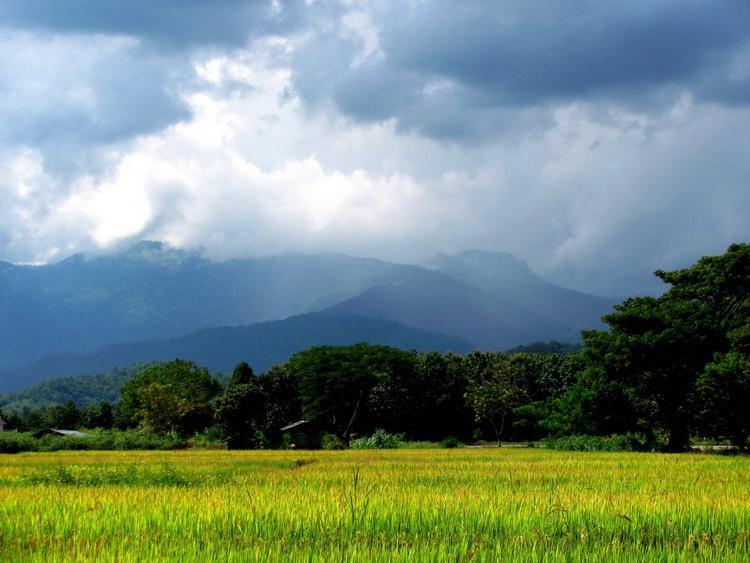 Incredible Mountain Views for Sale--1 Rai in Chiang Rai - Image 5
