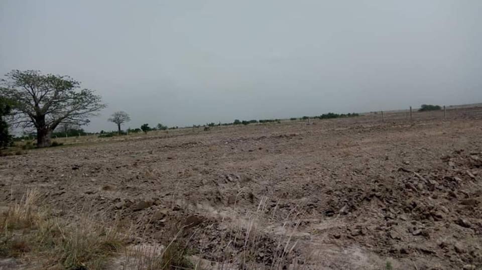 PROMOTION! PROMOTION! BUEKO PRAMPRAM & AFIENYA LANDS FOR SALE in Accra - Image 2