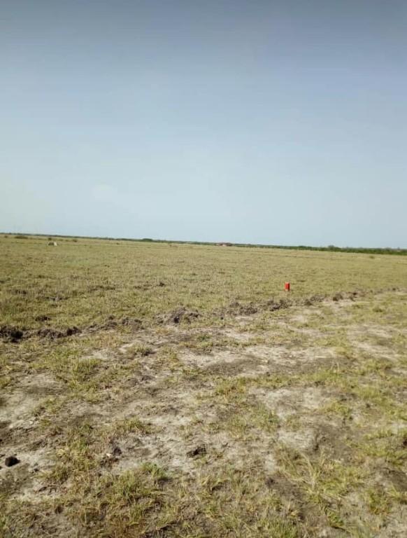 XMAS PROMO OF TSOPOLI LANDS REGISTERED in Tema - Image 2