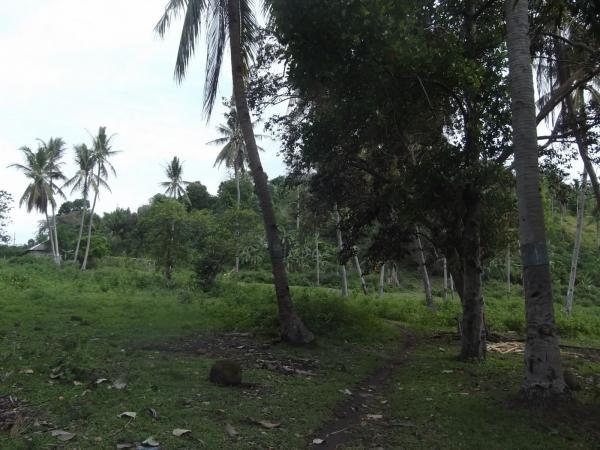 VALENCIA DEVELOPMENT LAND FOR SALE in Bacoor - Image 1
