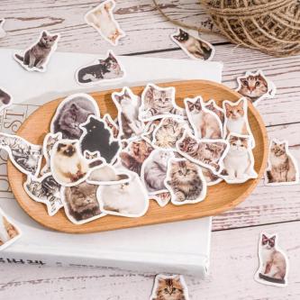 45PCS Cute Cat Boxed Sticker Cartoon Cute Hand Account … in Singapore - Image 1