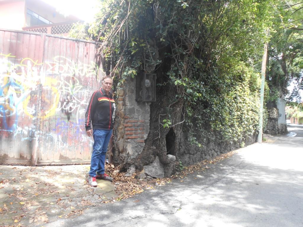 BUNGALOW FOR RENT IN CUERNAVACA en Tejalpa - Imagen 1