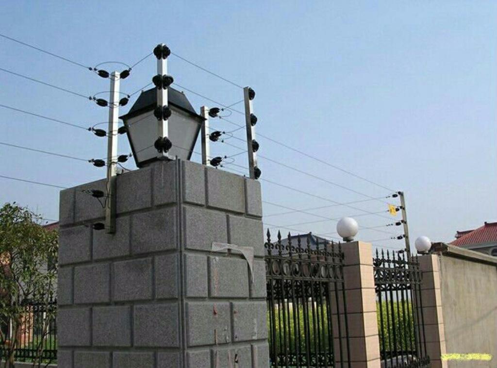 Royal Installation in Madina - Image 6