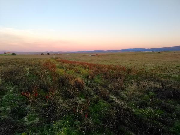 Finca Rústica en Venta en Ríolobos, Cáceres en València - Imagen 3