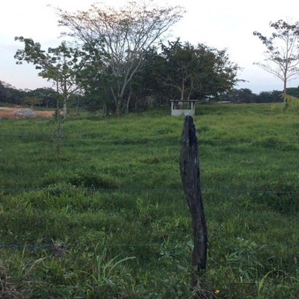R en Nacajuca - Imagen 1