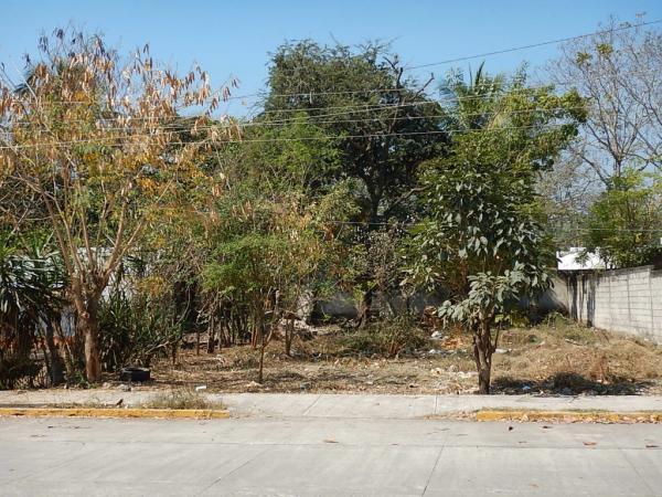 Terreno en venta. en la Tierra Blanca - Imagen 1