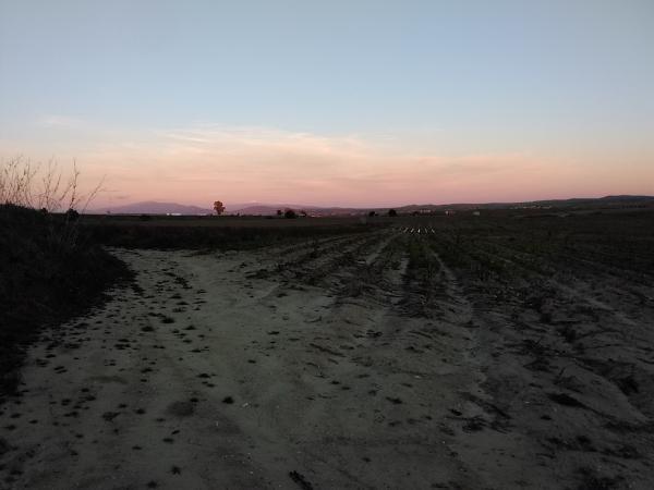 Finca Rústica en Venta en Ríolobos, Cáceres en València - Imagen 1
