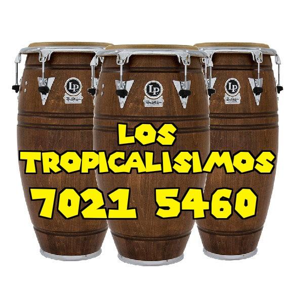 LOS TROPICALISIMOS BAND en San José Villanueva - Imagen 3