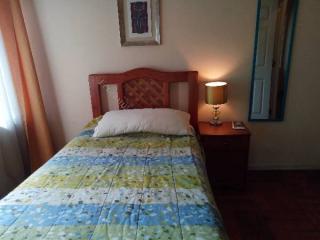 HABITACION AMOBLADA CENTRA (INACAP) AMPLIAS en Chillán Viejo - Imagen 7