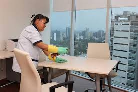 SERVICIO DOMÉSTICO, LIMPIEZA, JARDINERÍA, CONSERJES A DOMICILIO en Palo Negro - Imagen 2