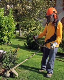 SERVICIO DOMÉSTICO, LIMPIEZA, JARDINERÍA, CONSERJES A DOMICILIO en Palo Negro - Imagen 4