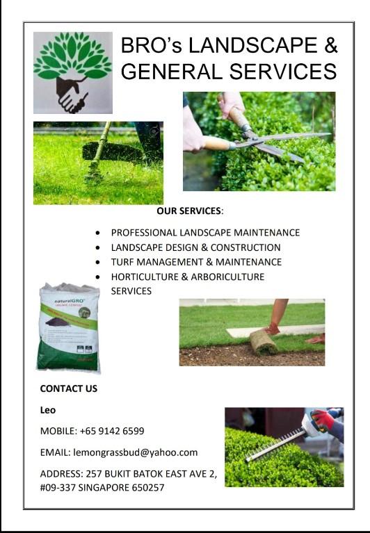 GRASSCUTTING AND TREE PRUNNING SVCS in Bukit Merah - Image 3