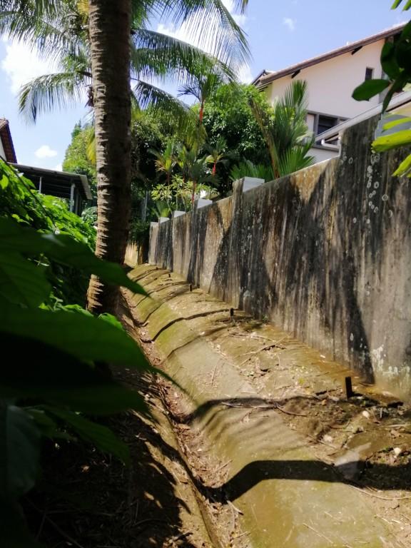 GRASSCUTTING AND TREE PRUNNING SVCS in Bukit Merah - Image 4