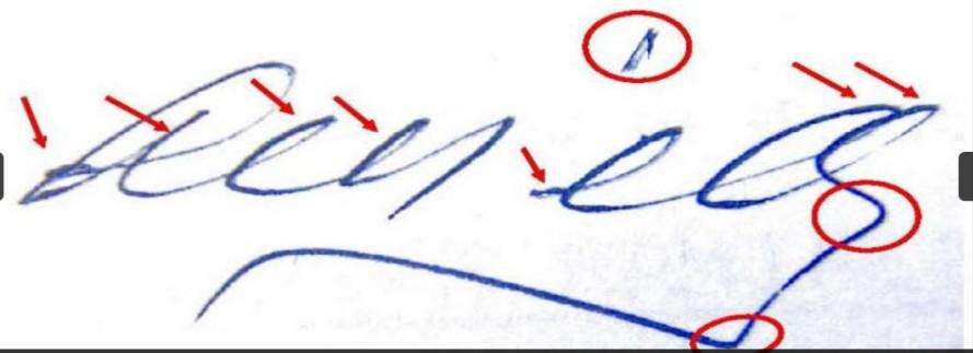 PERITO JUDICIAL GRAFOTECNICO, DOCUMENTOSCOPICO, DACTILOSCOPICO en Moyobamba - Imagen 3