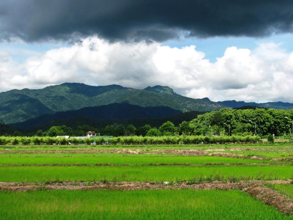 Incredible Mountain Views for Sale--1 Rai in Chiang Rai - Image 2