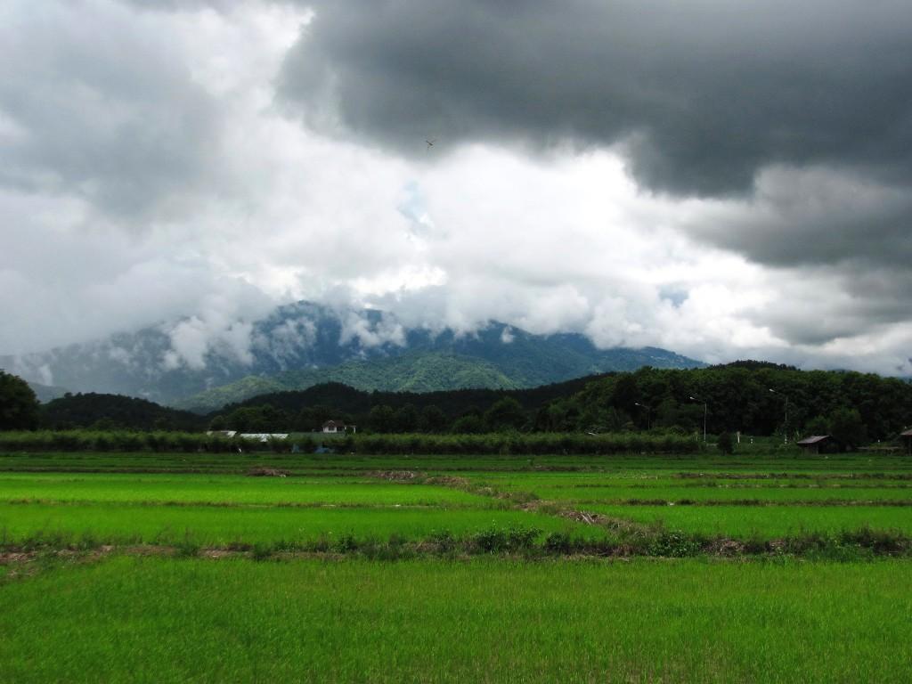 Incredible Mountain Views for Sale--1 Rai in Chiang Rai - Image 8