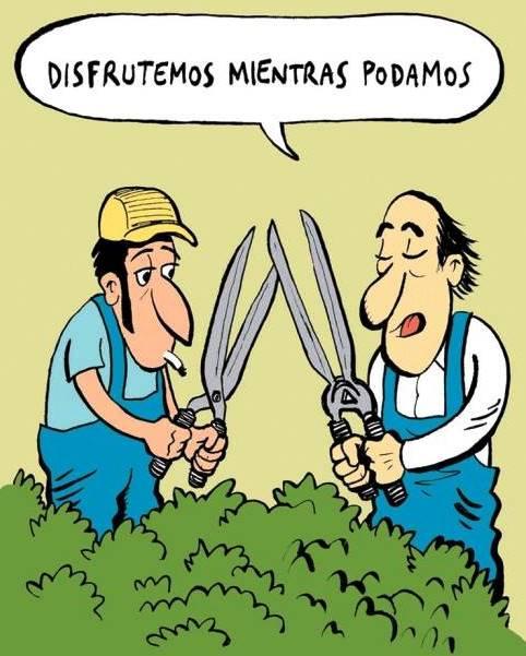 CUIDO SU SU JARDIN en San José Villanueva - Imagen 1