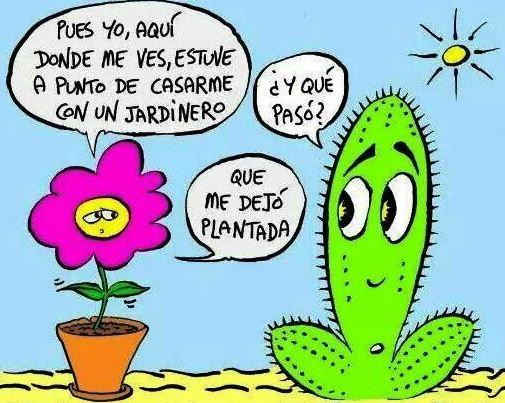 CUIDO SU SU JARDIN en San José Villanueva - Imagen 4