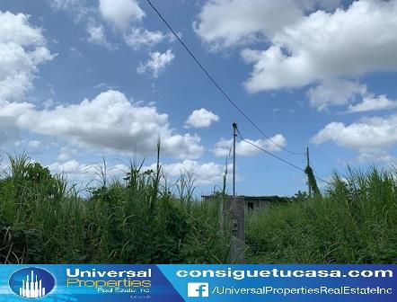 MOROVIS BO CUCHILLAS en Miami Beach - Imagen 2