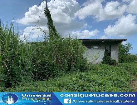 MOROVIS BO CUCHILLAS en Miami Beach - Imagen 3