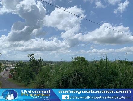 MOROVIS BO CUCHILLAS en Miami Beach - Imagen 5