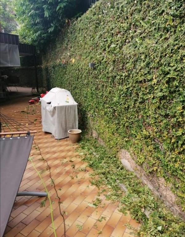 GRASSCUTTING AND TREE PRUNNING SVCS in Bukit Merah - Image 8
