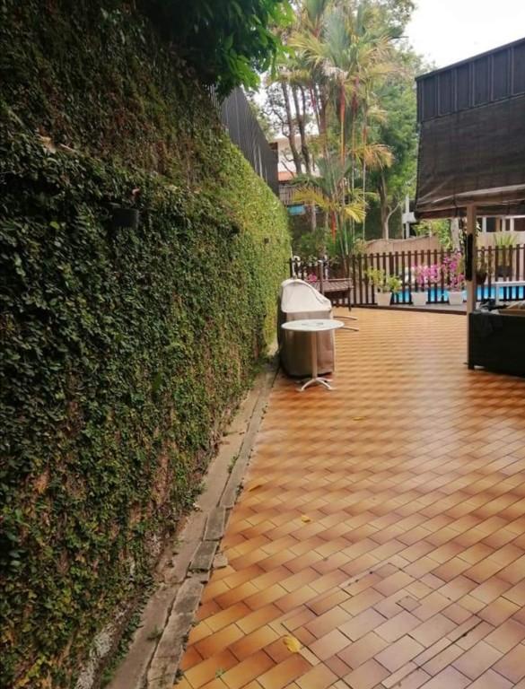 GRASSCUTTING AND TREE PRUNNING SVCS in Bukit Merah - Image 11