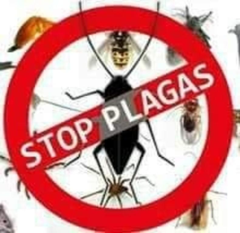 Control de plagas en Puerto Plata - Imagen 1