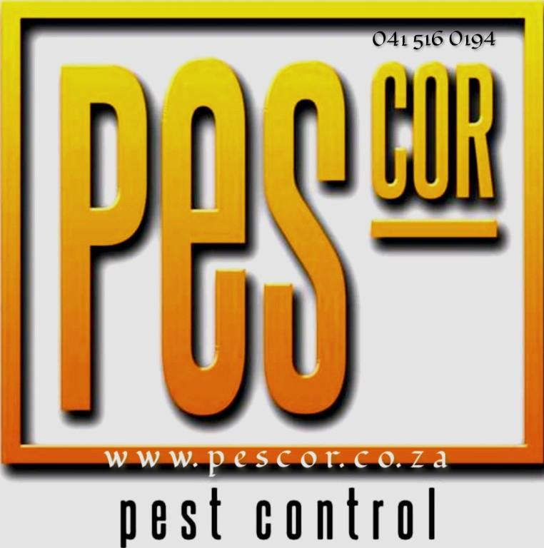 PesCor Pest Control in Port Elizabeth - Image 1