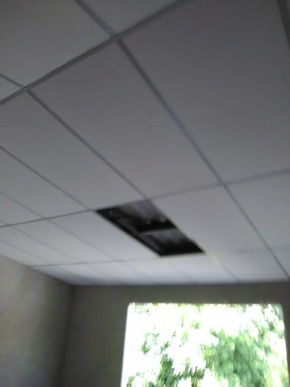 Remodelacion. Interior e exterior y electricidad en San José Villanueva - Imagen 9