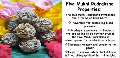 5 MUKHI RUDRAKSH PROPERTIES in Singapore - Image 1