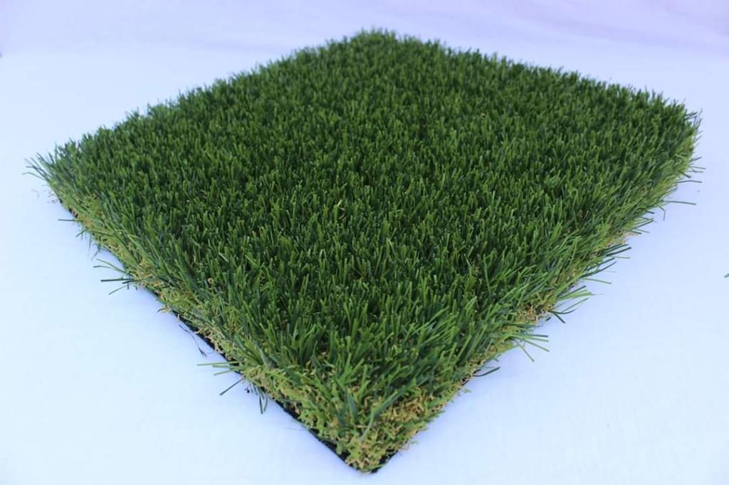 Garden services in Benoni - Image 7