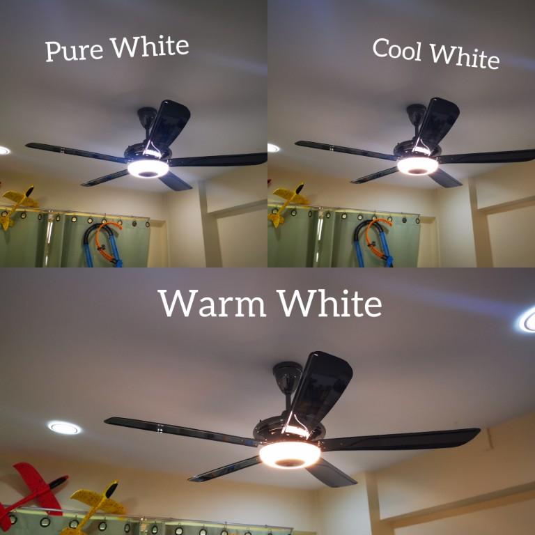 Ceiling Fan in Honolulu - Image 2