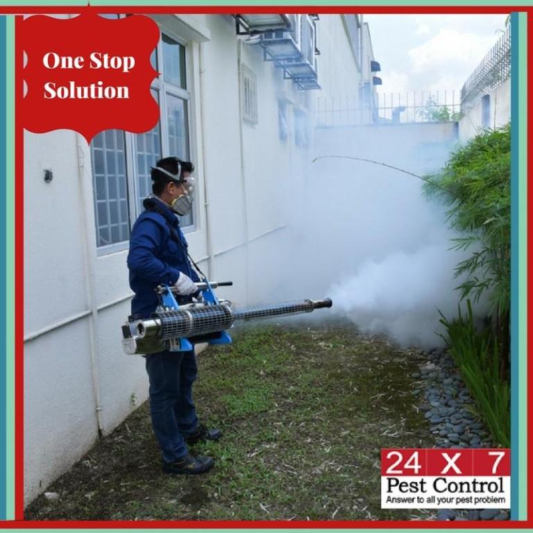 Rat Control Services in Lucknow in Bahādurgarh - Image 1