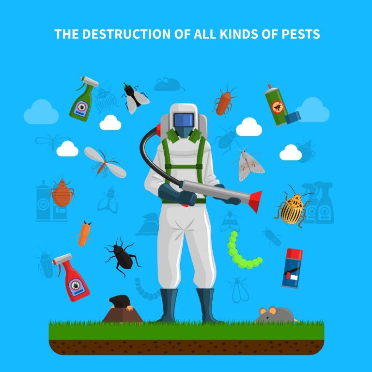 Pest Control Services in Pune in Bahādurgarh - Image 1