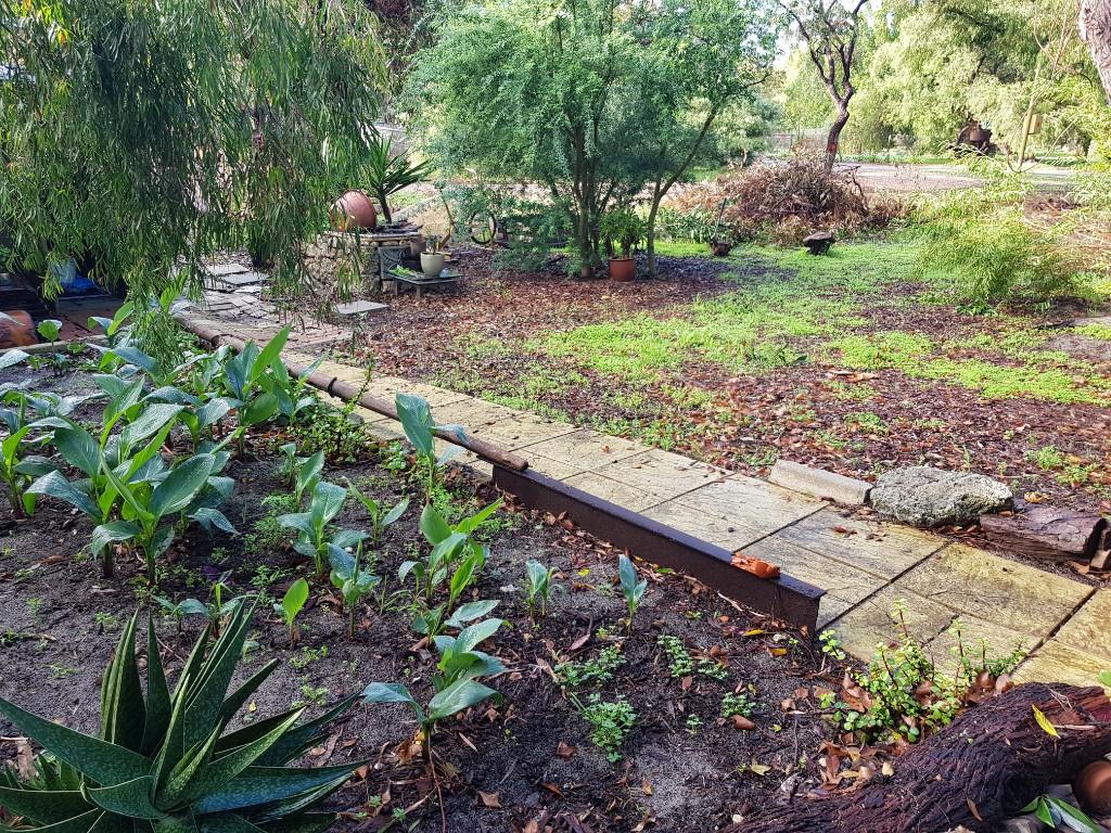 Personal assistant pluss in Wanneroo - Image 9