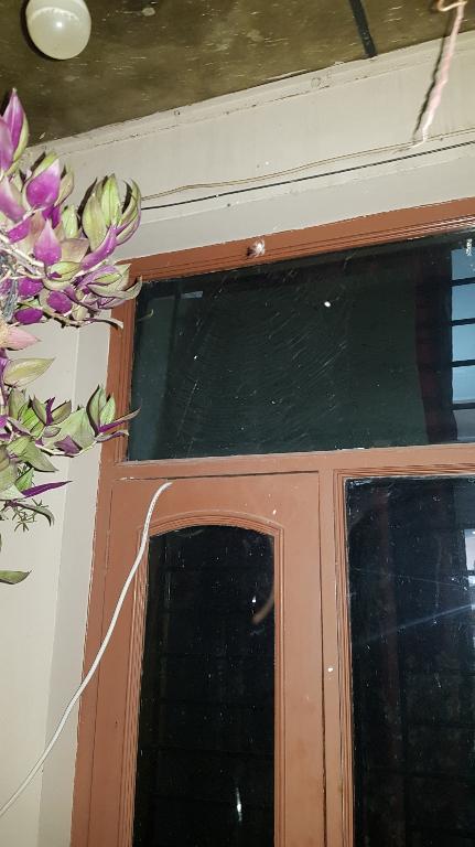 House for rent in Mani Mājra - Image 1
