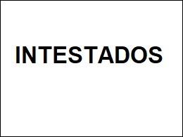 INTESTADOS en Xalapa Enríquez - Imagen 2