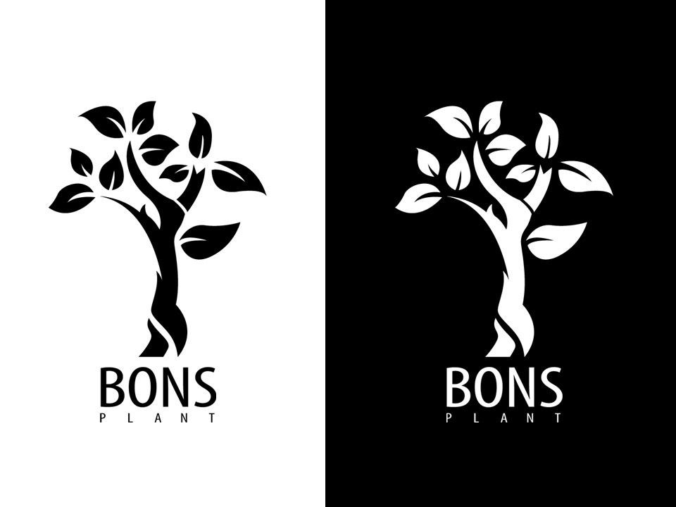 Diseño Gráfico / TauroniCreative en Caracas - Imagen 3